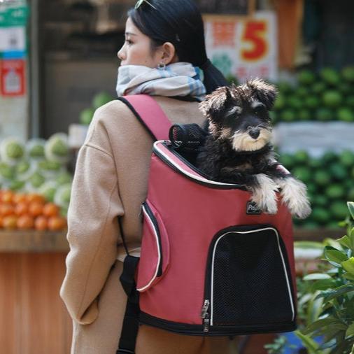 Pet Carrier Backpack