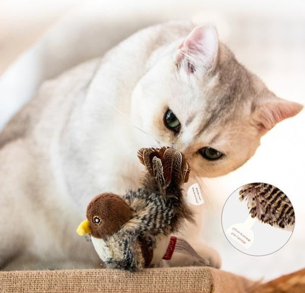 Interactive Chirping Bird Cat Toy